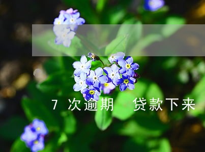 7次逾期 贷款下来